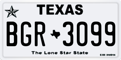 TX license plate BGR3099
