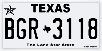 TX license plate BGR3118