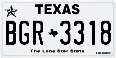 TX license plate BGR3318