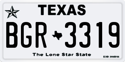 TX license plate BGR3319