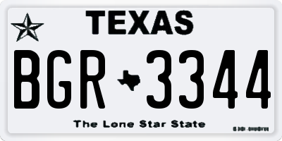 TX license plate BGR3344
