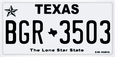 TX license plate BGR3503