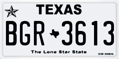 TX license plate BGR3613