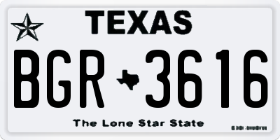 TX license plate BGR3616