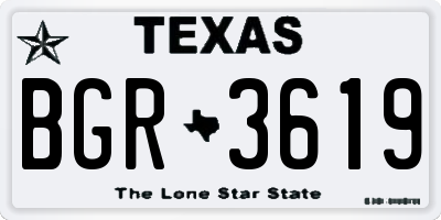 TX license plate BGR3619