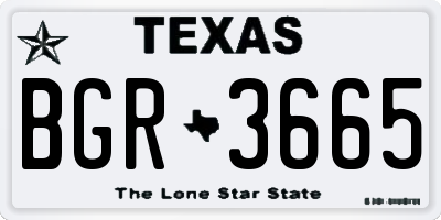 TX license plate BGR3665