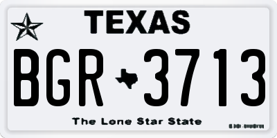 TX license plate BGR3713