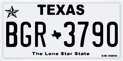 TX license plate BGR3790