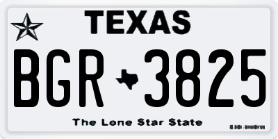 TX license plate BGR3825