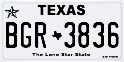 TX license plate BGR3836