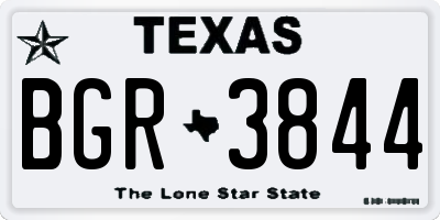 TX license plate BGR3844