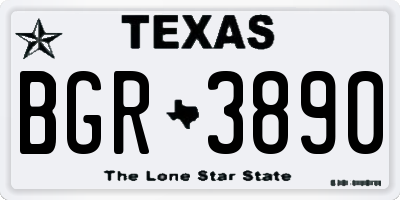 TX license plate BGR3890