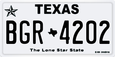 TX license plate BGR4202