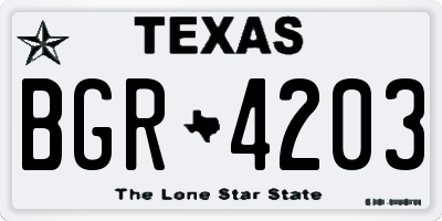 TX license plate BGR4203