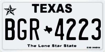 TX license plate BGR4223