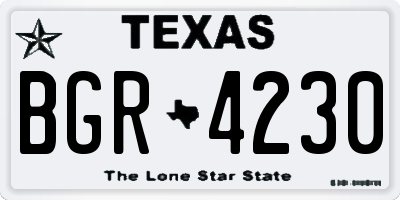 TX license plate BGR4230