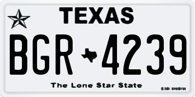 TX license plate BGR4239