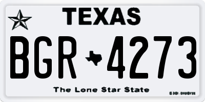 TX license plate BGR4273