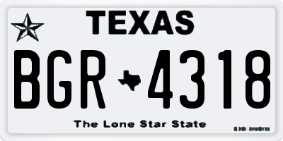 TX license plate BGR4318