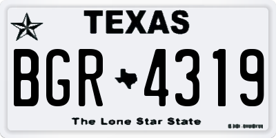 TX license plate BGR4319