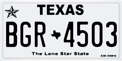 TX license plate BGR4503
