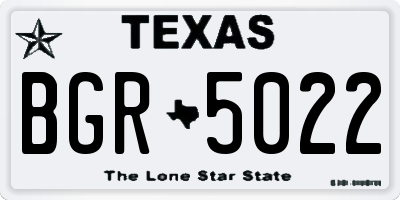 TX license plate BGR5022