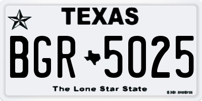 TX license plate BGR5025