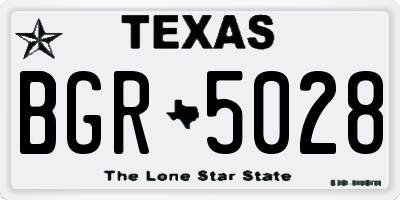 TX license plate BGR5028