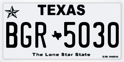 TX license plate BGR5030