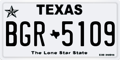 TX license plate BGR5109