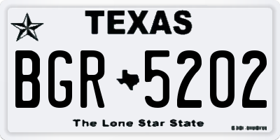 TX license plate BGR5202