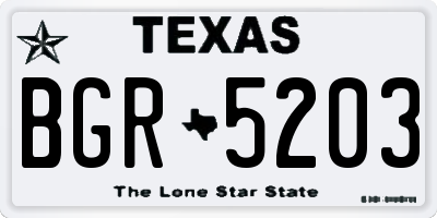 TX license plate BGR5203