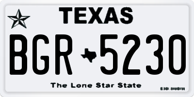 TX license plate BGR5230