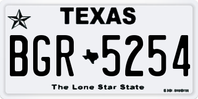 TX license plate BGR5254