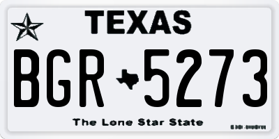 TX license plate BGR5273