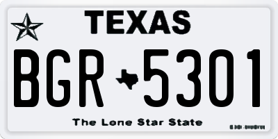 TX license plate BGR5301
