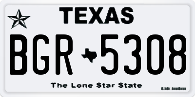 TX license plate BGR5308
