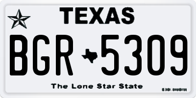 TX license plate BGR5309