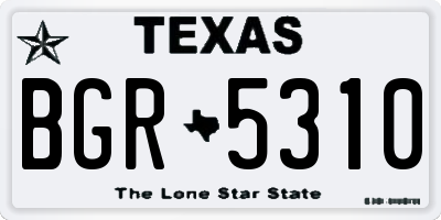 TX license plate BGR5310
