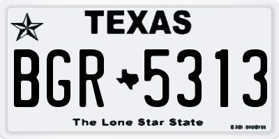 TX license plate BGR5313