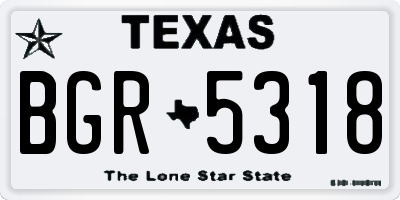 TX license plate BGR5318