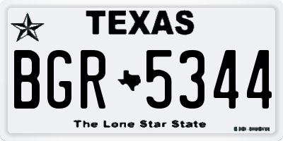 TX license plate BGR5344