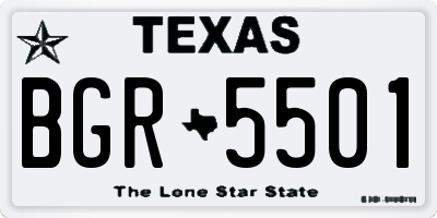 TX license plate BGR5501