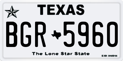 TX license plate BGR5960