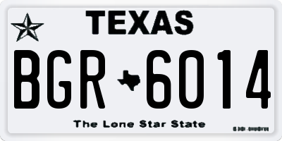 TX license plate BGR6014
