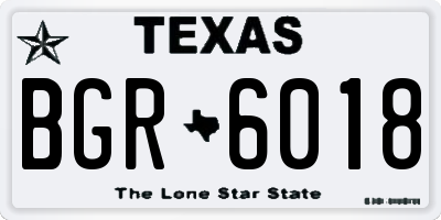 TX license plate BGR6018