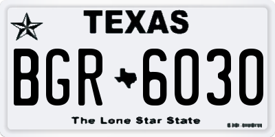 TX license plate BGR6030