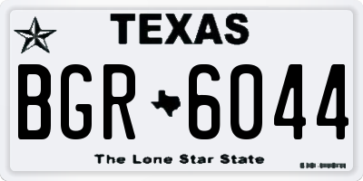 TX license plate BGR6044