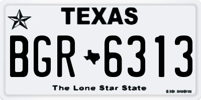 TX license plate BGR6313