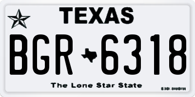 TX license plate BGR6318
